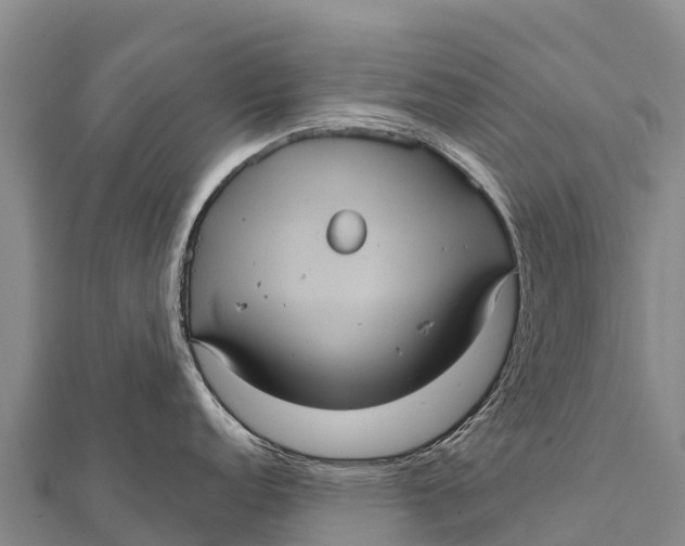 X0000112001152200908241427