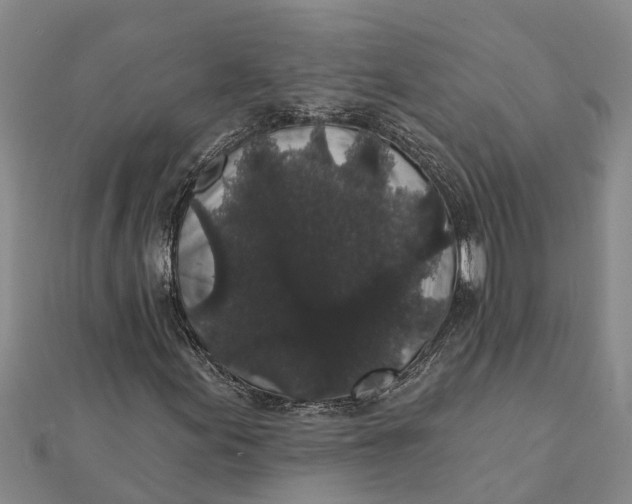 X0000112001155200908241427