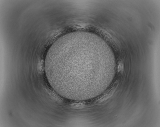 X0000112001156200908241427