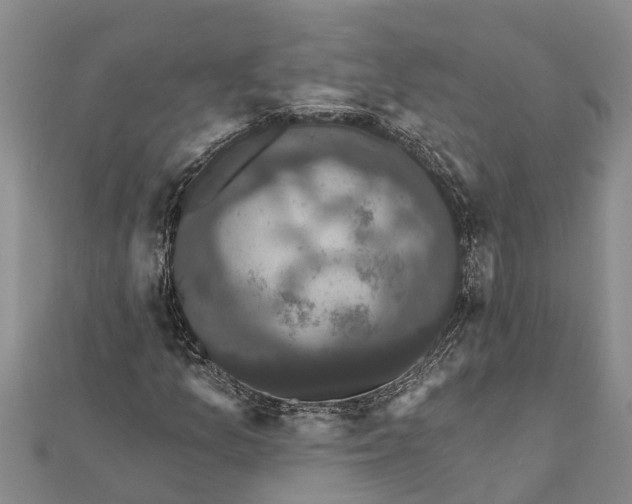 X0000112001157200908241427