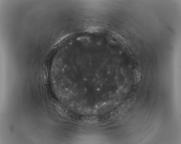 X0000112001158200908241427