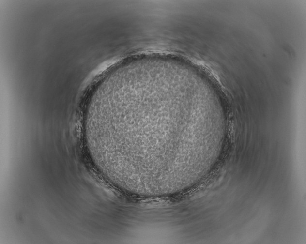 X0000112001159200908241427