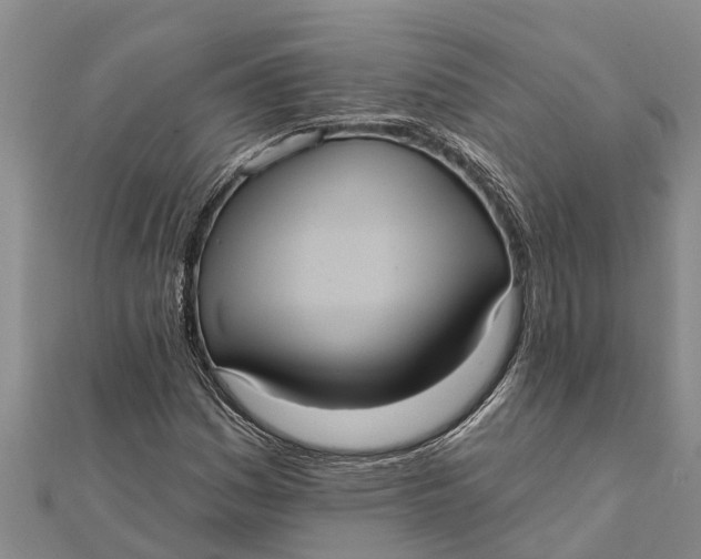 X0000112001161200908241427