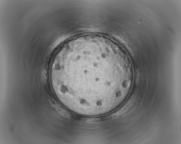 X0000112001163200908241427