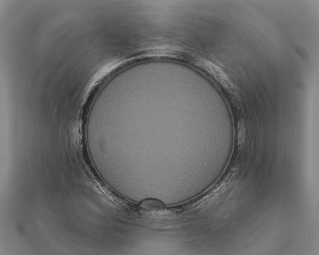 X0000112001164200908241427