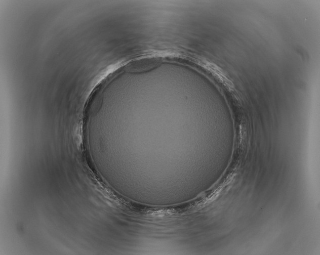 X0000112001165200908241427