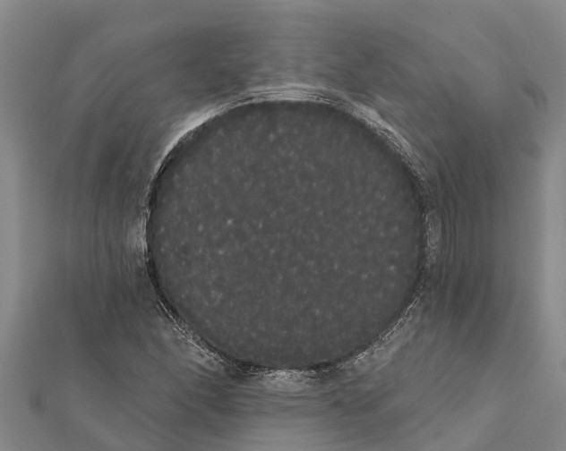 X0000112001166200908241427