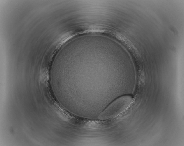 X0000112001169200908241427