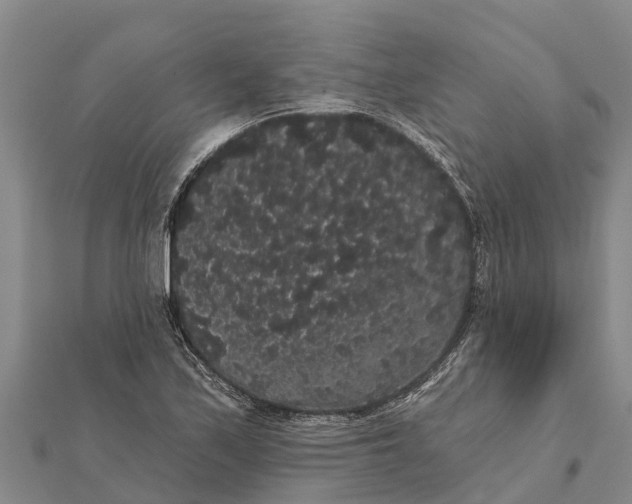 X0000112001171200908241426