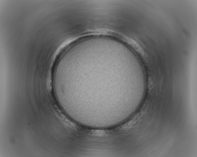 X0000112001172200908241426