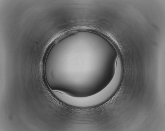 X0000112001173200908241426