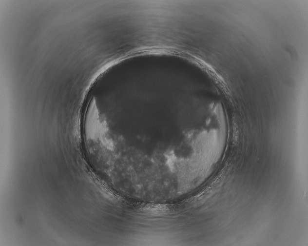 X0000112001174200908241426