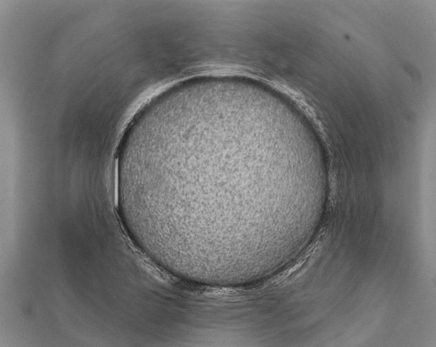 X0000112001175200908241426