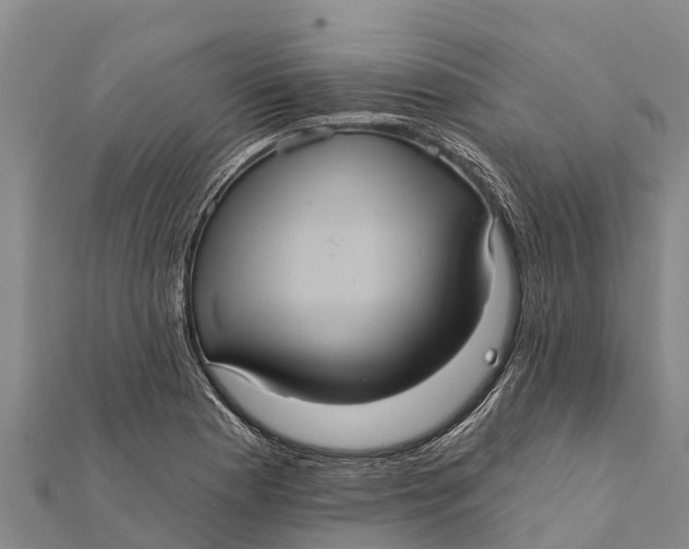 X0000112001177200908241426