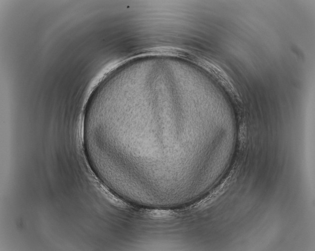 X0000112001180200908241426