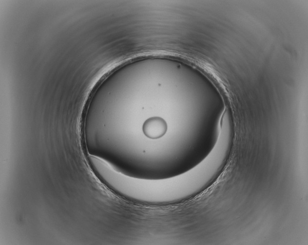 X0000112001181200908241426