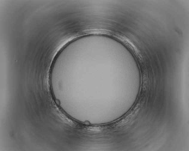 X0000112001182200908241426