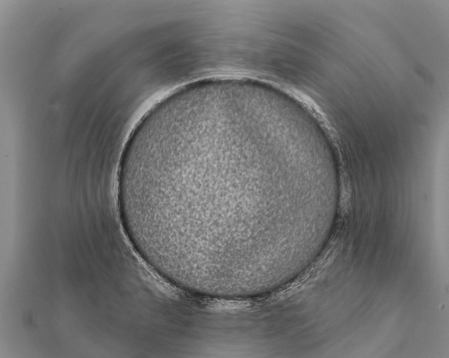 X0000112001183200908241426