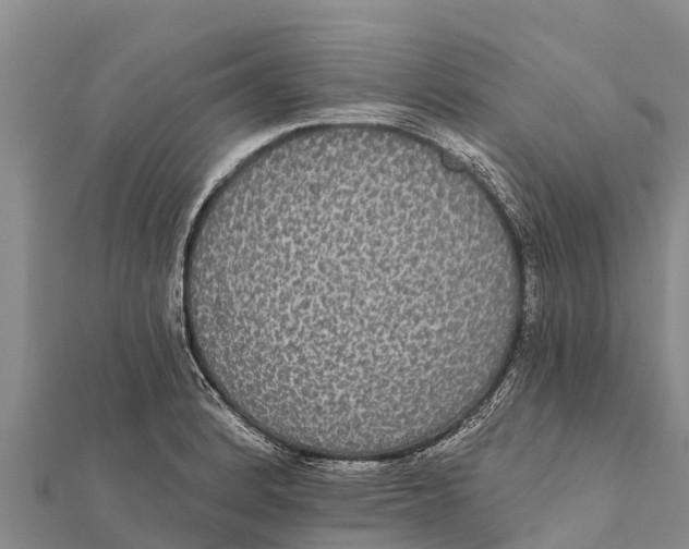 X0000112001184200908241426