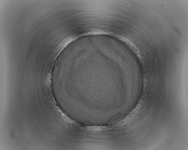 X0000112001185200908241426