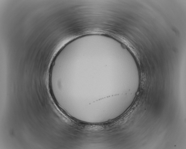 X0000112001187200908241426