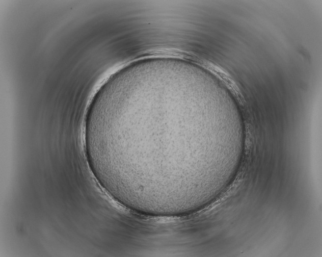 X0000112001188200908241426