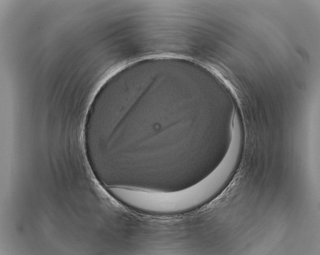 X0000112001189200908241426