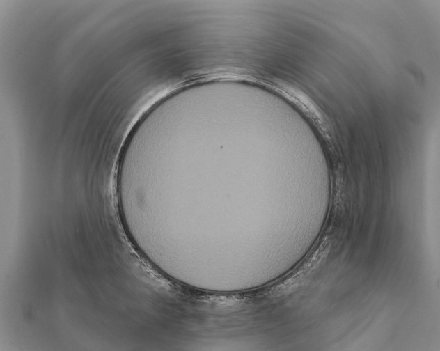 X0000112001190200908241426