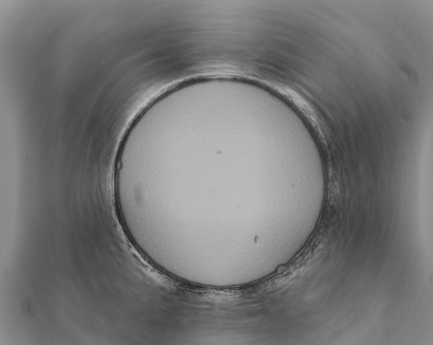 X0000112001191200908241426