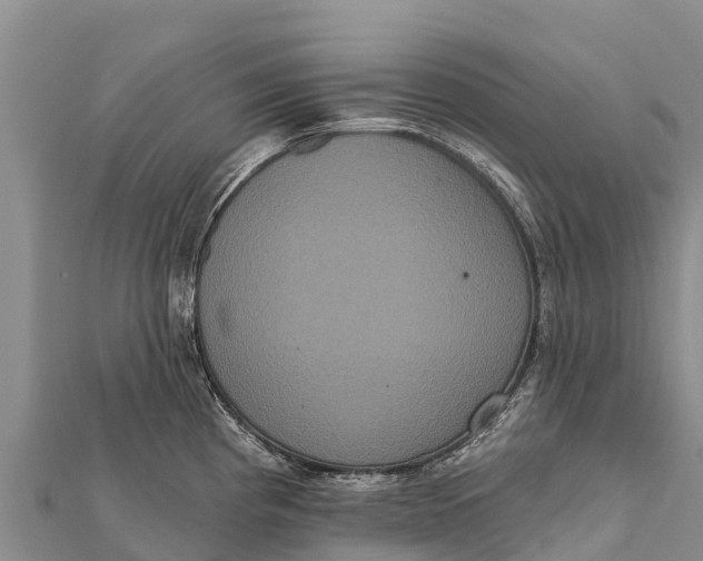 X0000112001193200908241426