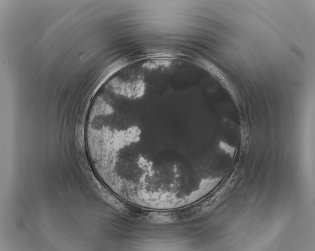 X0000112001194200908241426