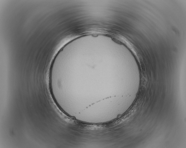 X0000112001195200908241426