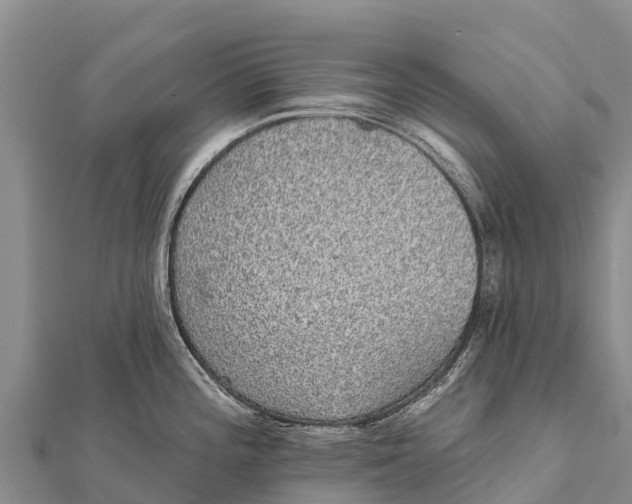 X0000112001196200908241426