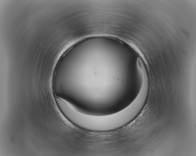 X0000112001197200908241426