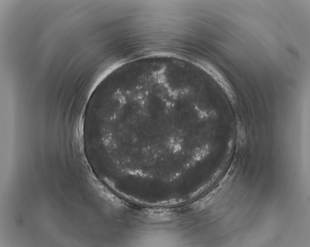 X0000112001198200908241426