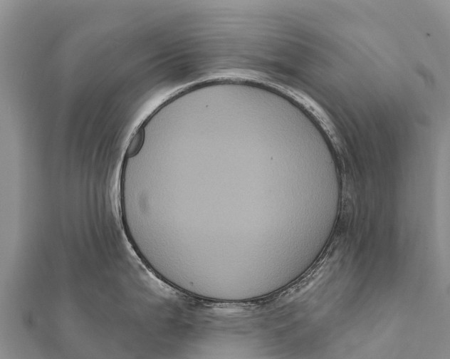 X0000112001199200908241426