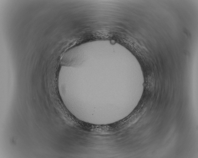 X0000112001201200908241425