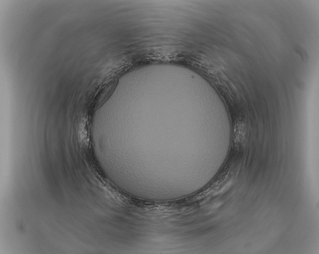 X0000112001202200908241426