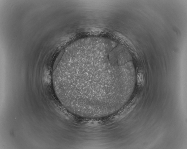 X0000112001204200908241426