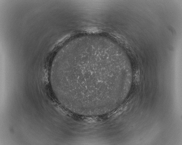 X0000112001205200908241426