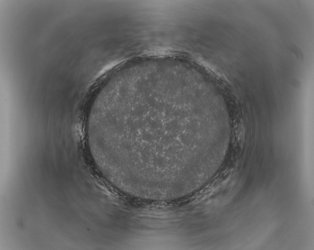 X0000112001206200908241426