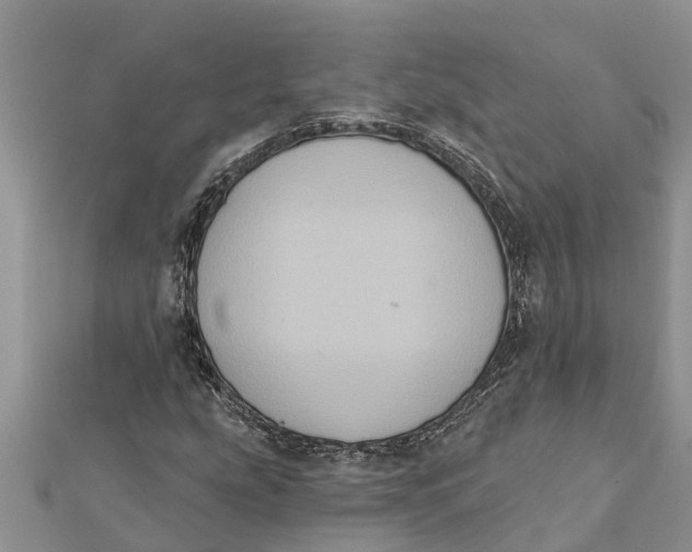 X0000112001207200908241426