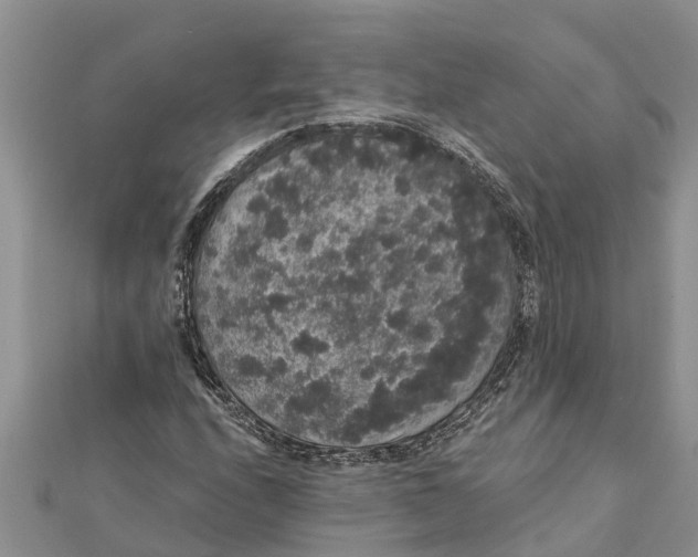 X0000112001208200908241426