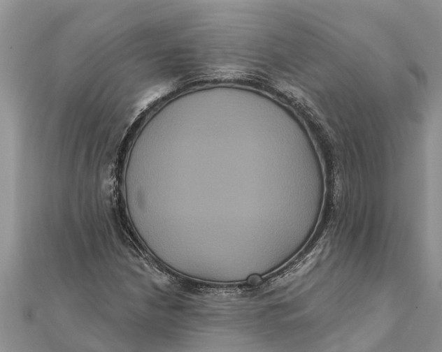 X0000112001210200908241426