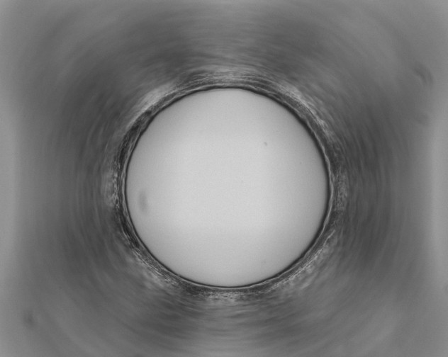 X0000112001211200908241426