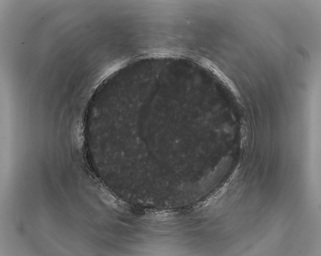 X0000112001213200908241426