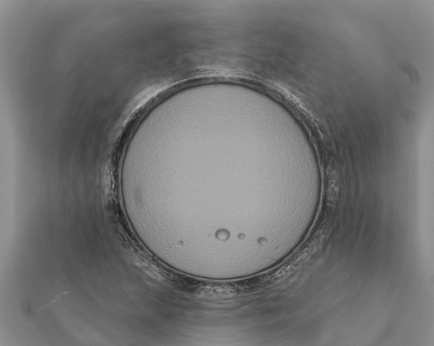 X0000112001215200908241426