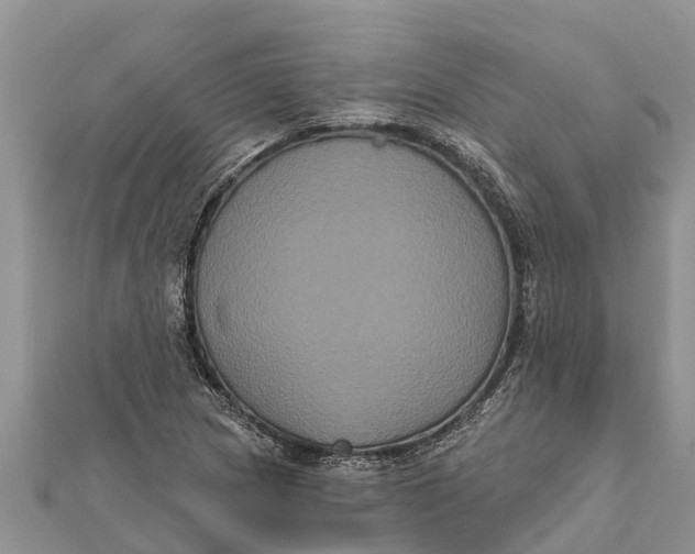 X0000112001217200908241426