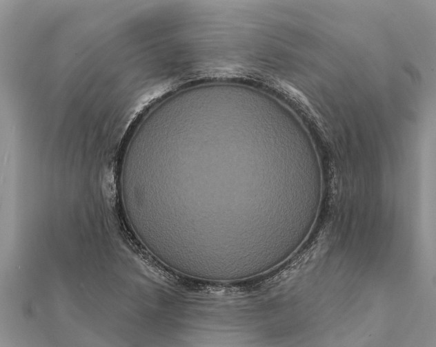 X0000112001218200908241426