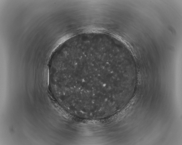 X0000112001219200908241426